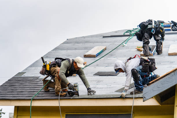 Professional Storm Damage Roof Repair technician working in Stoughton, MA